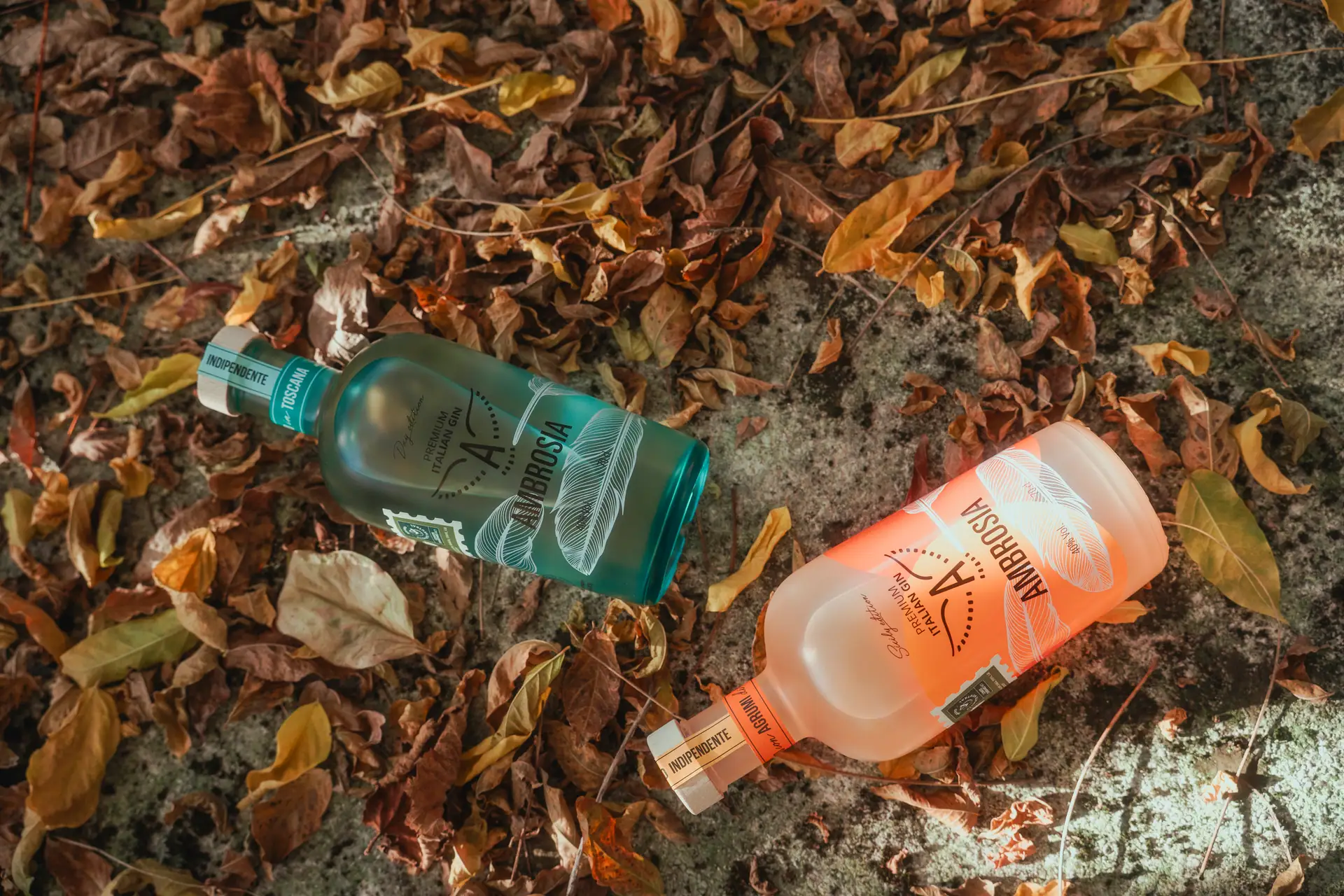 Bottiglie di gin Ambrosia su foglie autunnali